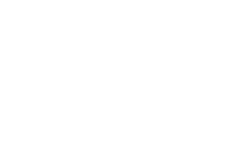 Logo Pramac blanc
